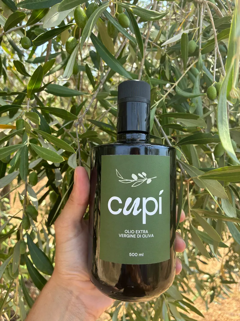 A hand holding a bottle of Olio Cupí among olive branches