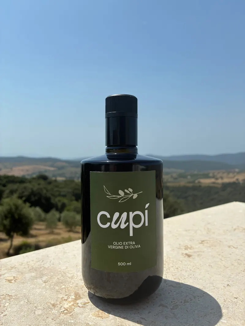 A bottle of Olio Cupí on a stone wall, olive groves and hills behind