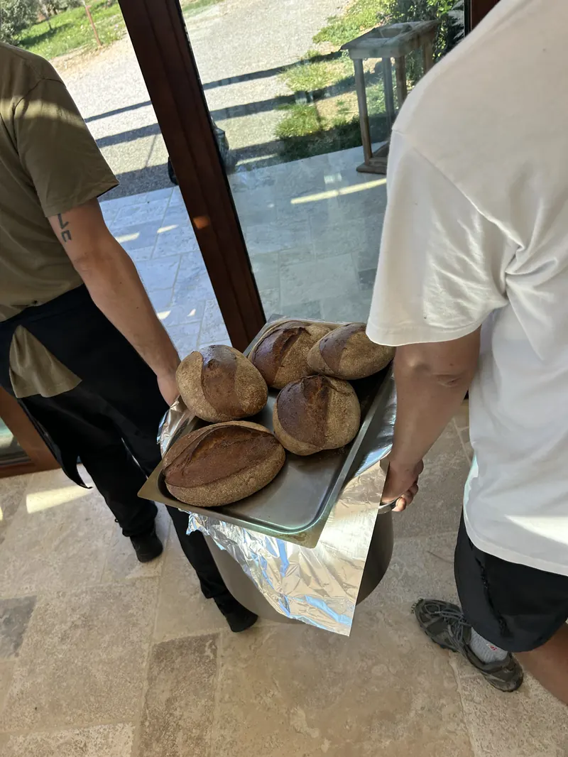 A tray of fresh bread carried out for the harvest lunch
