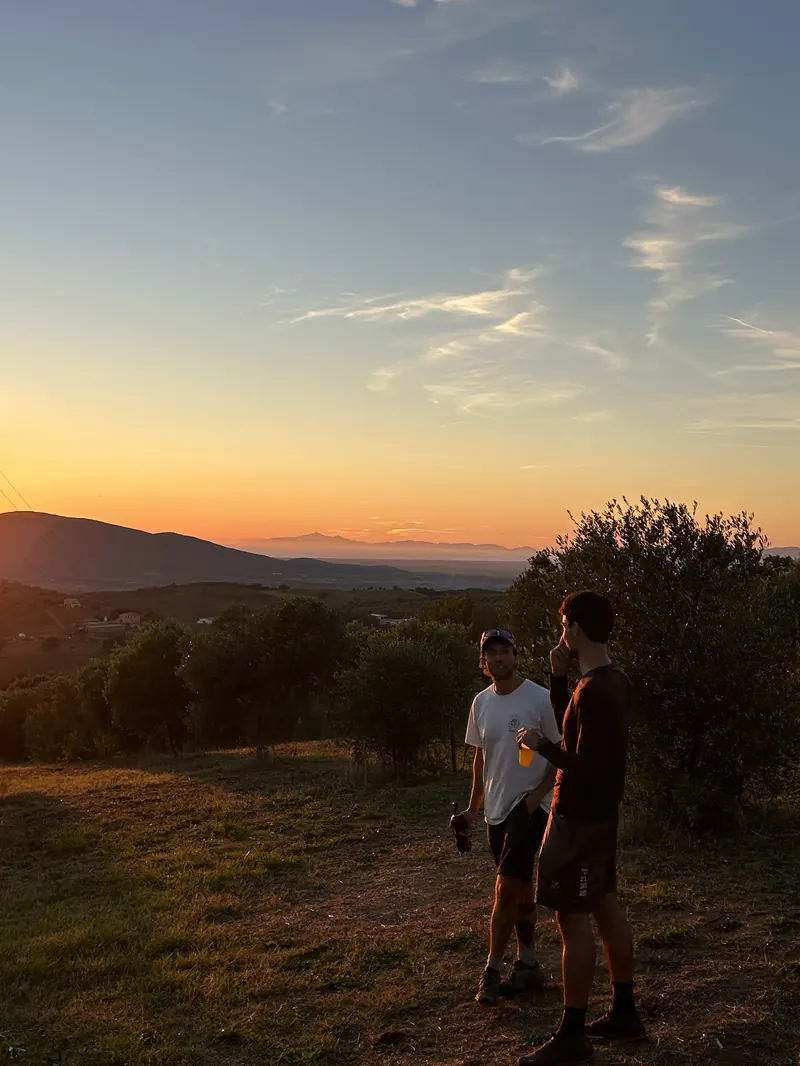Sunset over the Maremma hills at the end of the harvest day